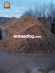 gedroogde dennenaald hout... Omgeving Hoekse Waard