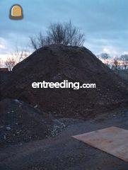 Puin Omgeving Hoekse Waard