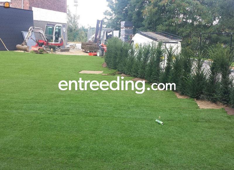 Tuin, gazon, begrondingen, omheiningen