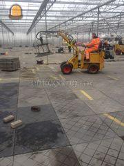 Knikmops Omgeving Maarssen