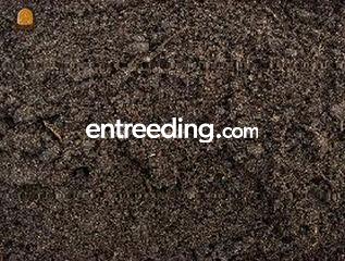  Omgeving Oostelijke Mijnstreek