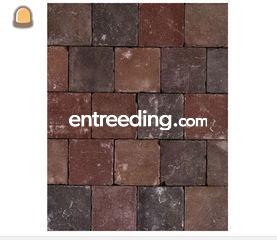 Kleiklinkers Kwadrata 15x... Omgeving Kortrijk, Komen-Waasten