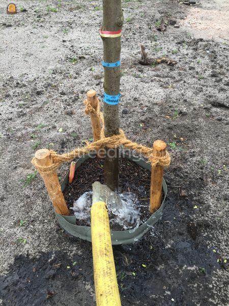 Trekker + 5m3 waterwagen