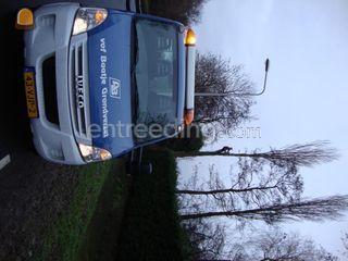 boomklimmer Omgeving Westland