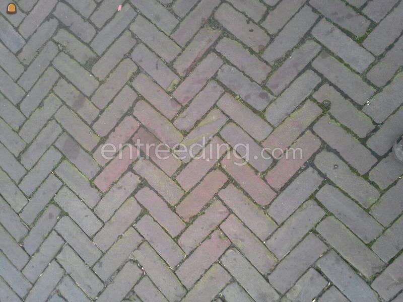 Oud gebakken dikformaat