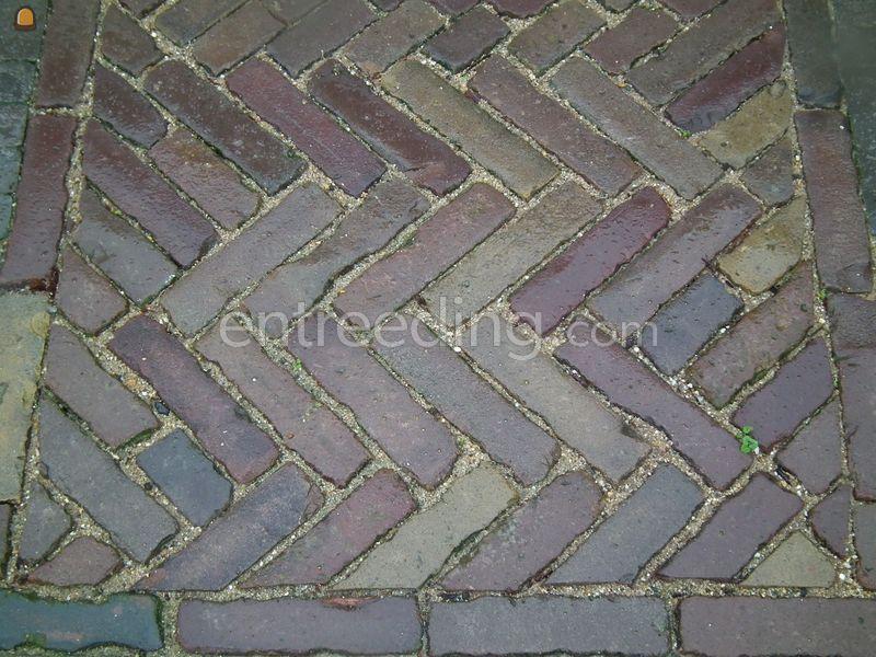 Oud gebakken waaltjes