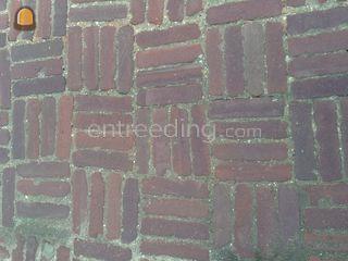  Omgeving Wijk bij Duurstede