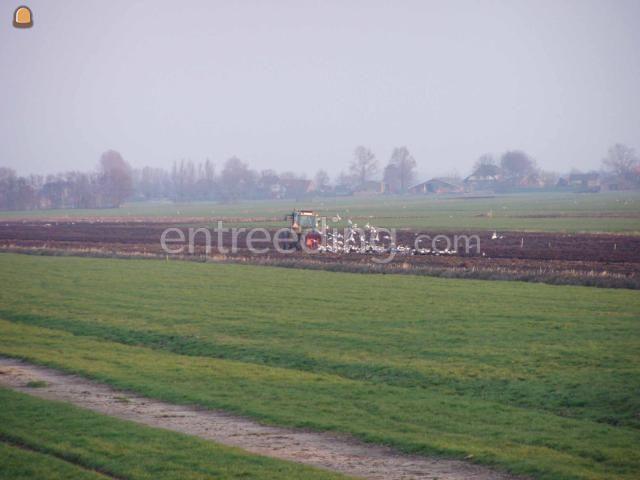 Kverneland EG 100 vario