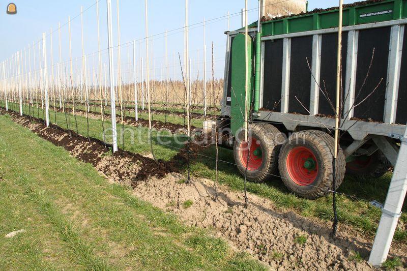 Bemesting van boomgaarden