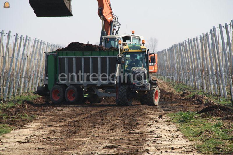 Bemesting van boomgaarden