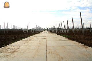 Diverse soorten platen le... Omgeving Tiel