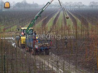 Tractor + bomenkraan (bom... Omgeving Tiel