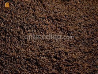 Diversen soorten grond/te... Omgeving Tiel