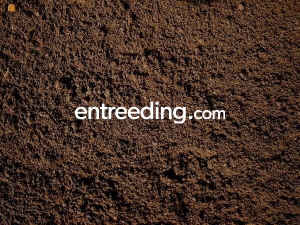 Diversen soorten grond/teeltaarde