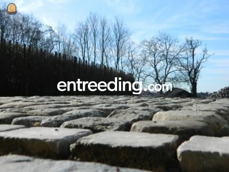 Alle klinkerwerken, kasseiwerken