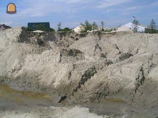Westerscheldezand Omgeving Tholen