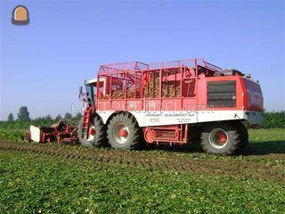 Vervaet beet eater 625 Omgeving Tholen