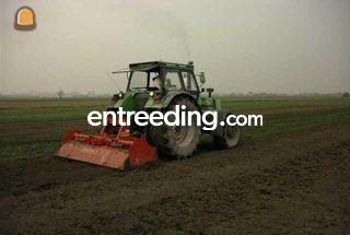 Perugini frees Omgeving Den Haag