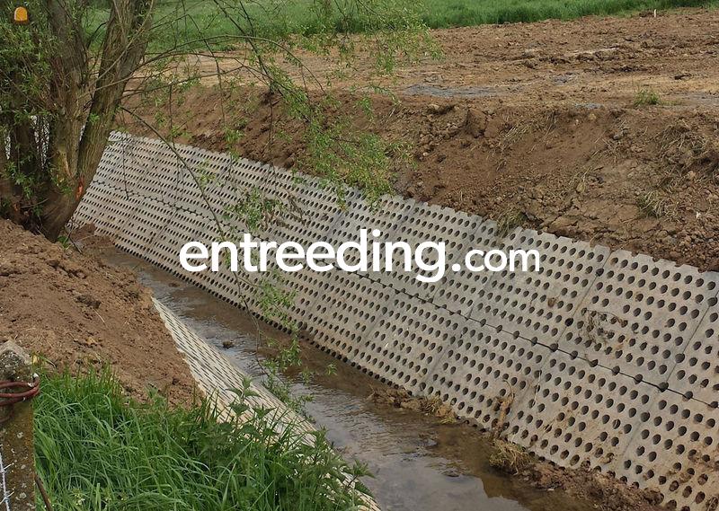 Waterbouwkundige werken, oeververstevinging