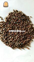 Schots Granietsplit 2/8 m... Omgeving Ede