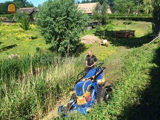 Irus taludmaaier radiogra... Omgeving Voorne-Putten