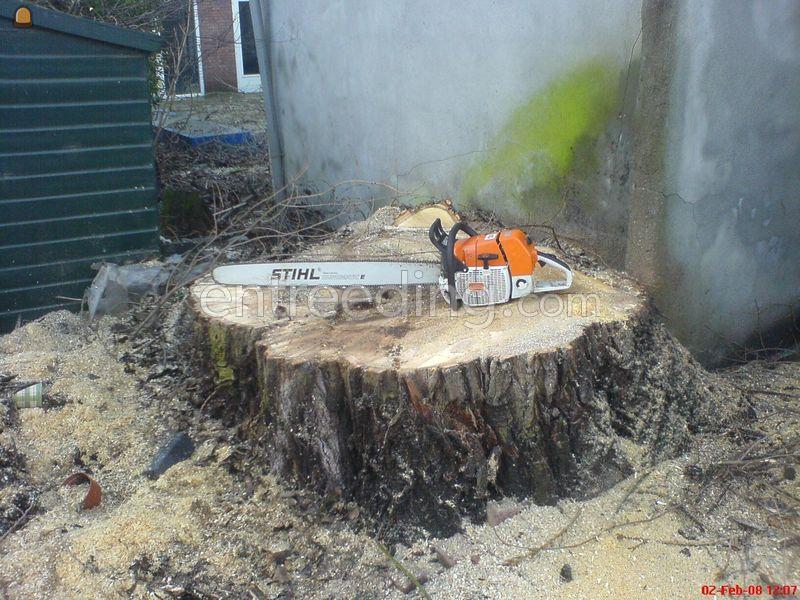 Ervaren boomspecialisten