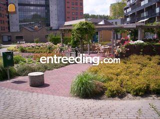  Omgeving Alphen a/d Rijn