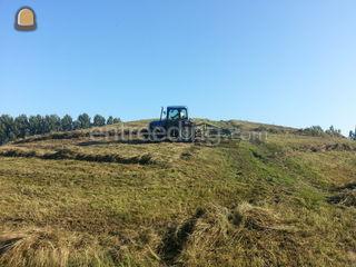 cirkelhark krone Omgeving Purmerend