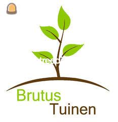 Zelfstandige hovenier Omgeving Genk