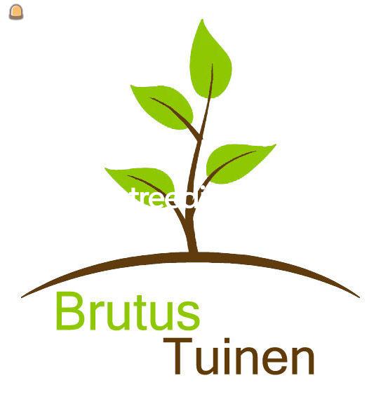 Zelfstandige hovenier