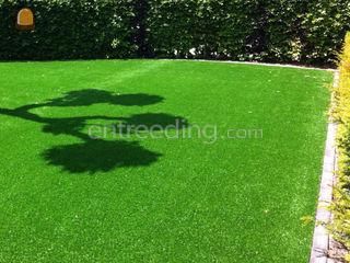 Brutus Tuinen uit Dilsen-Stokkem