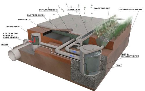 Hydrops bewijst al jaren ...