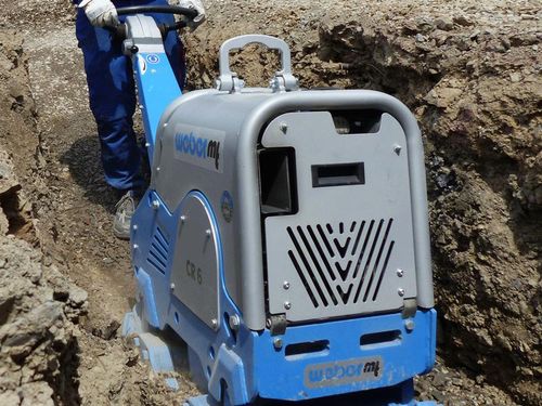 Kleine jongen met veel in...