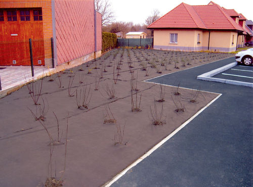 Insulco weert onkruid zon...