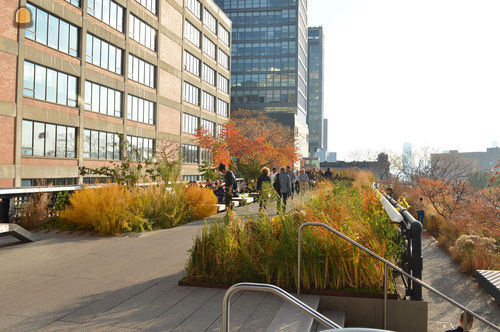 Studiedag groen in de bou...