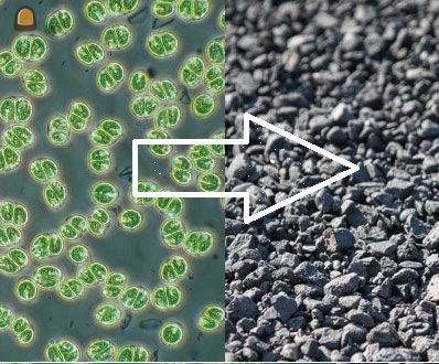 Asfalt op basis van micro...