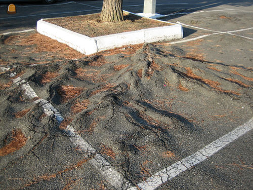 Deschacht helpt nu ook bi...